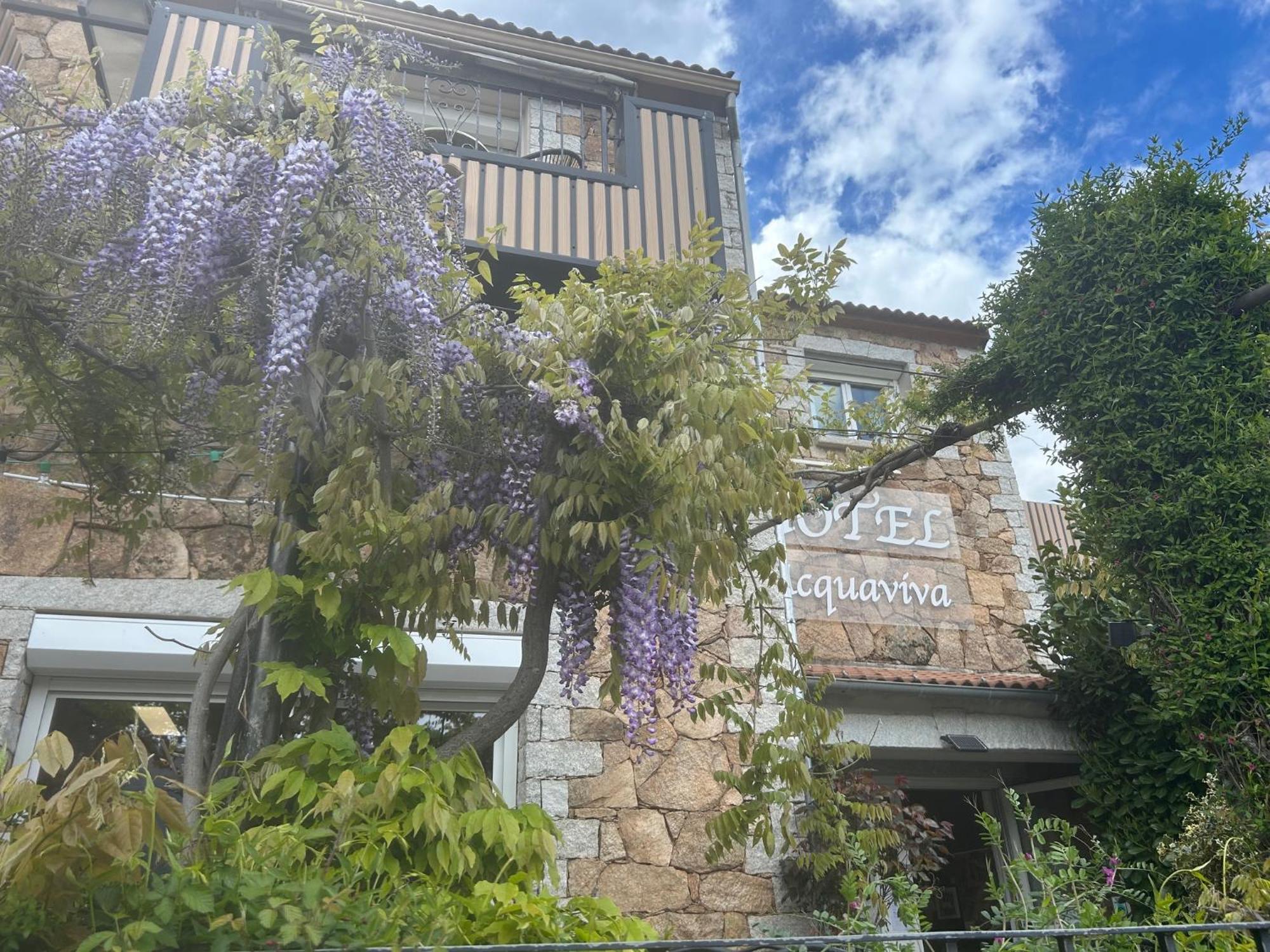 L'Acqua Viva Hotel Calacuccia Exterior photo